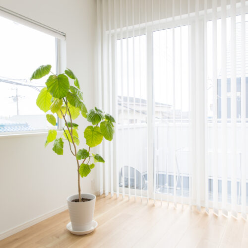 日当たりのいいリビング